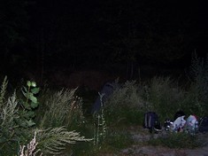 Unser Zelt hinter Büschen versteckt.